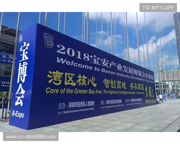 宝盈技术支持专业平台官网：全面了解宝盈技术支持服务与解决方案